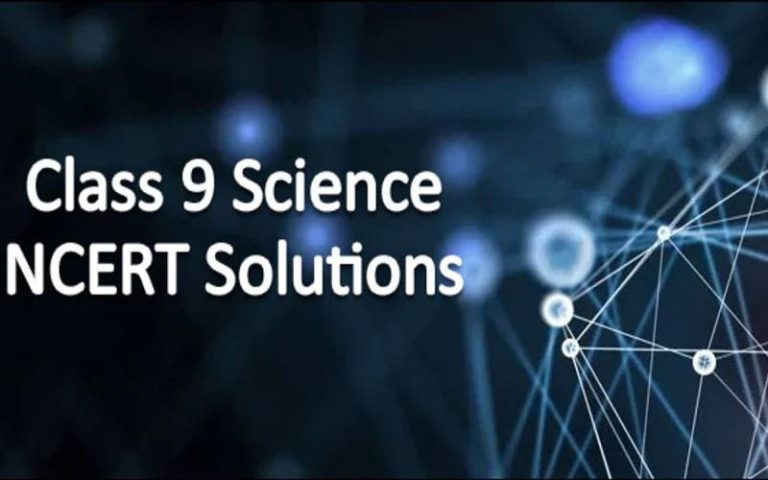 NCERT Solutions
