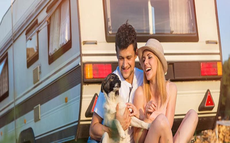 Know The Tips for an RV Road Trip with Your Dog Masstamilan