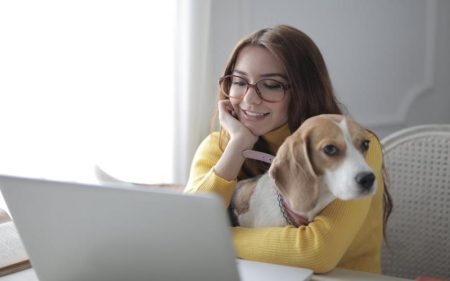 Creating a Comfortable Home Environment for Your Dog