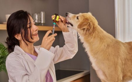 3 Signs Your Dog May Need An Immediate Animal Hospital Visit