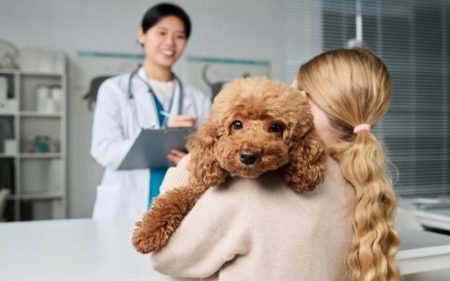 4 Benefits Of Regular Wellness Exams For Pets