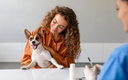 4 Signs Your Pet May Need Immediate Veterinary Attention