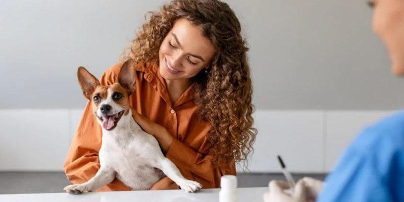 4 Signs Your Pet May Need Immediate Veterinary Attention