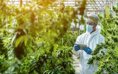 5 Essential Accounting Services Every Cannabis Dispensary Needs