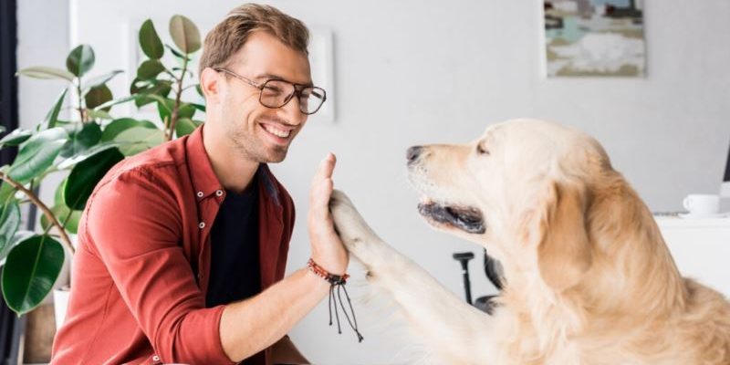 5 Ways Veterinary Hospitals Provide Peace Of Mind For Pet Owners