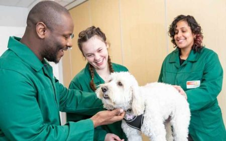 Animal Hospital Services